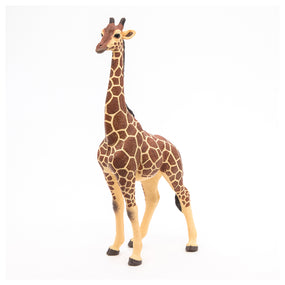 Figurine Girafe mâle Papo en PVC, thème savane, Collection Animaux sauvages, jouet éducatif idéal pour enfants et collectionneurs