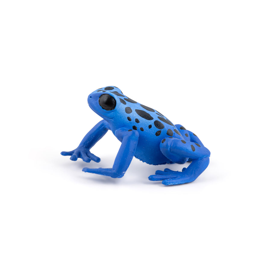 Grenouille équatoriale bleue Papo en PVC, Collection Animaux sauvages, jouet éducatif idéal pour enfants et collectionneurs
