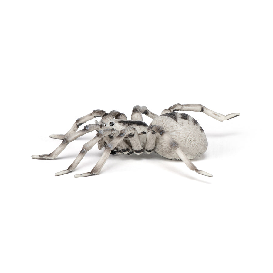 Tarentule Papo en PVC, Collection Animaux sauvages, jouet éducatif idéal pour enfants et collectionneurs