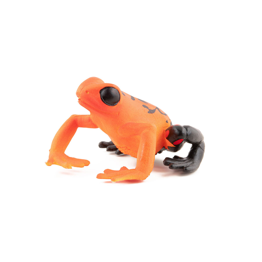 Grenouille équatoriale rouge Papo en PVC, Collection Animaux sauvages, jouet éducatif idéal pour enfants et collectionneurs