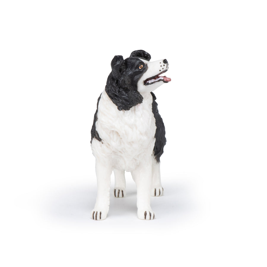 Figurine Border collie Papo en PVC, Collection chiens et chats, jouet éducatif idéal pour enfants et collectionneurs