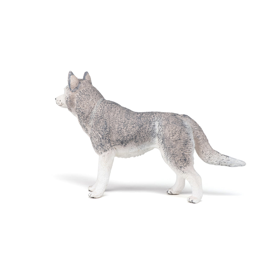Figurine Husky de Sibérie Papo en PVC, Collection chiens et chats, jouet éducatif idéal pour enfants et collectionneurs