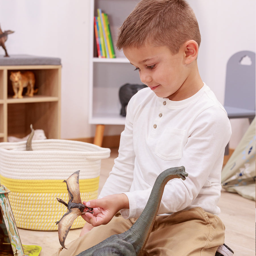 Ptéranodon Papo en PVC, Collection Dinosaures, jouet éducatif idéal pour enfants et collectionneurs