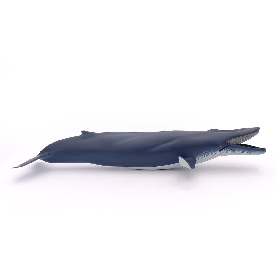 Figurine Baleine bleue Papo en PVC, Collection animaux marins, jouet éducatif idéal pour enfants et collectionneurs