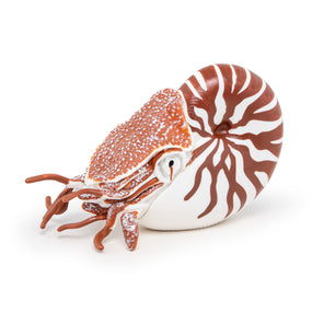 Nautile Papo en PVC, Collection animaux marins, jouet éducatif idéal pour enfants et collectionneurs